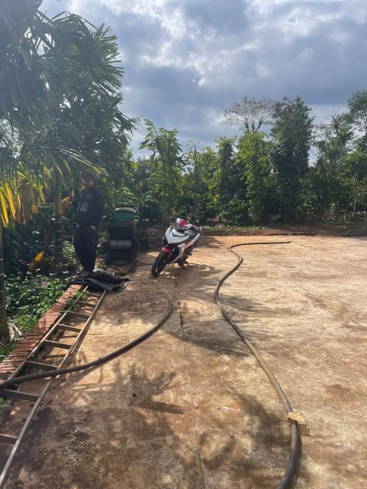 Farm 1,2ha xã Ea H'đinh, huyện Cư M'gar giá 3,85 tỷ - Đầy đủ tiện nghi, sẵn sàng hoạt động!