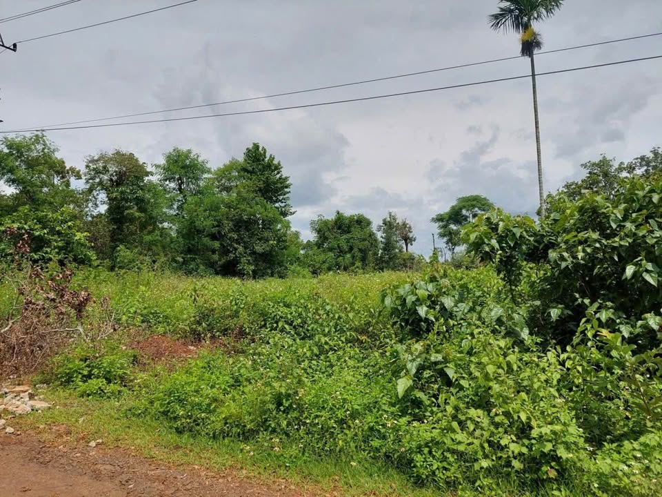 Đất nền 370m² tại xã Ea Ktur, huyện Cư Kuin, Đắk Lắk giá 750 triệu - Đầu tư sinh lời ngay!