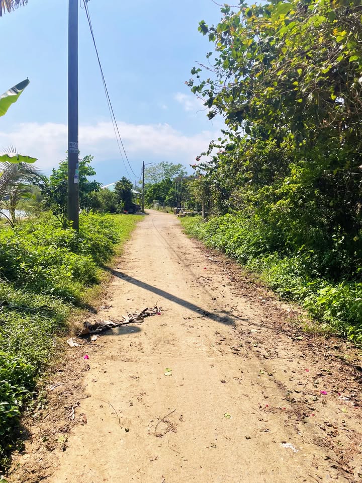 Đất Nền View Sông Tuý Loan - Hòa Nhơn 150m² Giá 1 tỷ - Đầu Tư Lâu Dài!