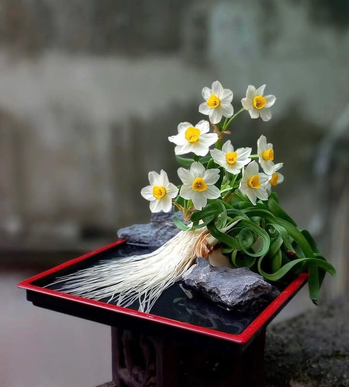 Nhà trọ 3 tầng tại khu Vân Dương, Bắc Ninh 71m² giá chỉ 3 tỷ - Đầu tư sinh lời hấp dẫn!