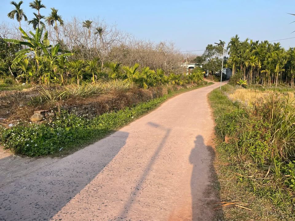 Đất nền 1000m² tại Xã Đường Hoa, Quảng Ninh - Giá thỏa thuận, ô tô vào tận nơi!