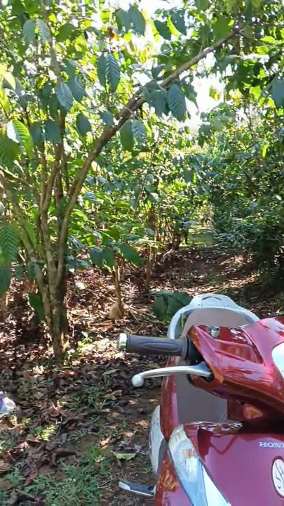 Đất nền 3240m² tại Xã Lộc Quảng - Giá chỉ 500 triệu - Sổ hồng chính chủ!