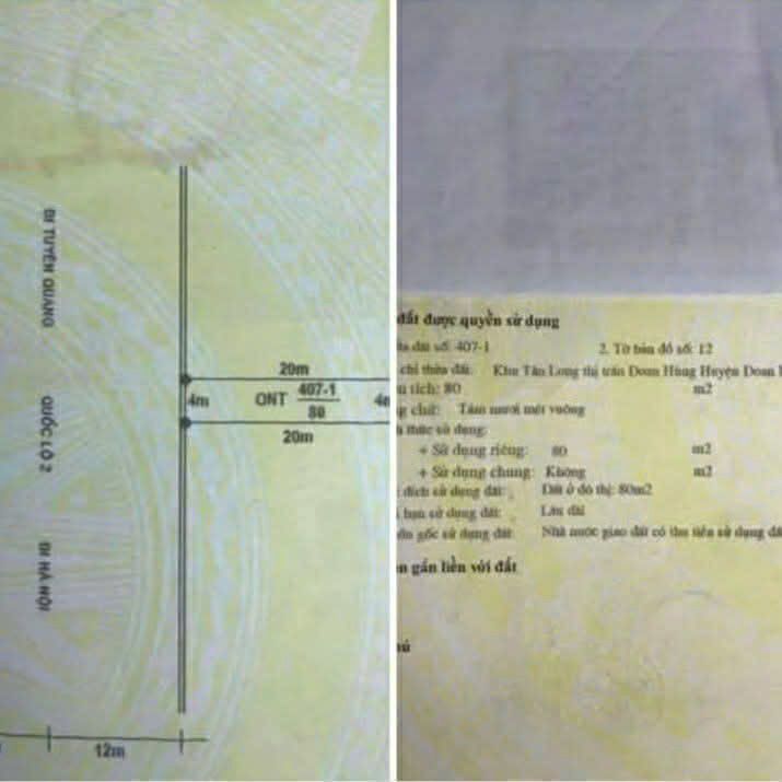 Đất nền khu Tân Long, Thị trấn Đoan Hùng 90m² - Tiềm năng kinh doanh đắc địa!