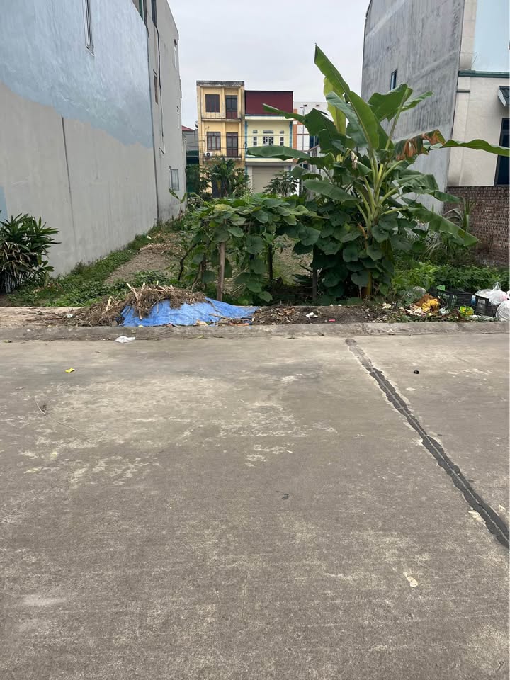 Đất giãn dân Hà Liễu, Quế Võ, Bắc Ninh 90m² giá 3 tỷ - Đầu tư lý tưởng!