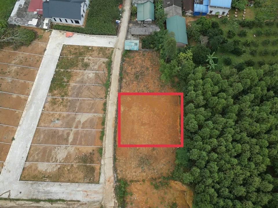 Bán đất 290m² tại Tu Vũ, Phú Thọ giá chỉ 1,1 tỷ - Cơ hội vàng cho nhà đầu tư!