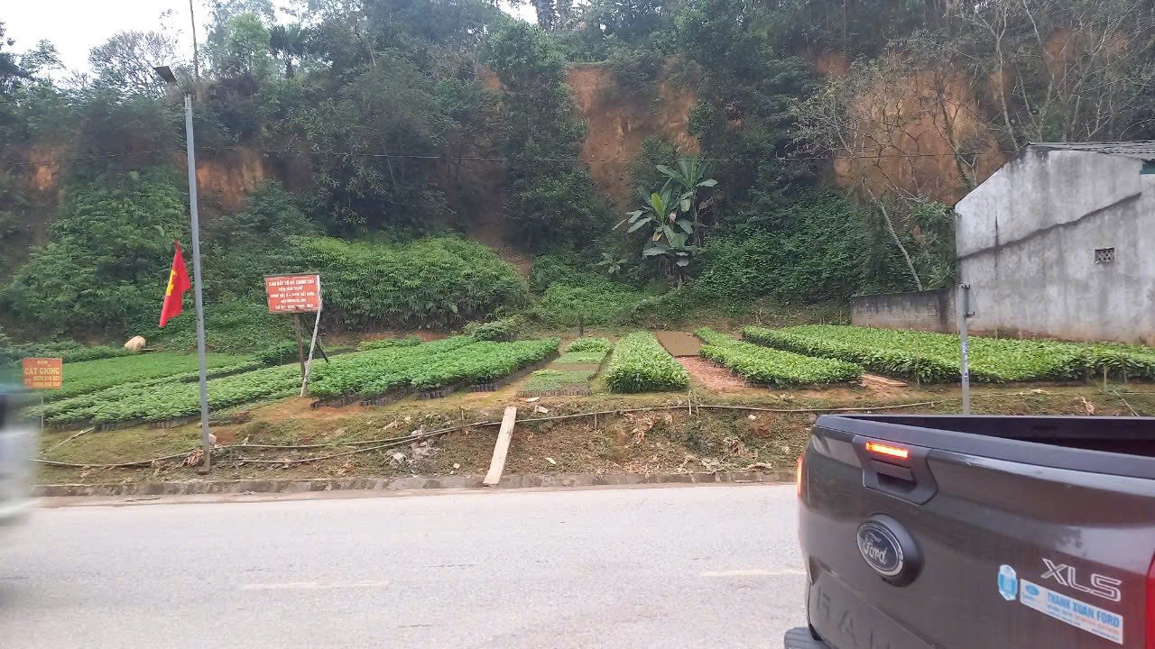 Đất nền Khu 1, Xã Trạm Thản, Huyện Phù Ninh 560m² giá 3.5 tỷ - Đầu tư sinh lời ngay!