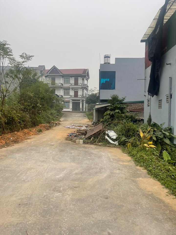 Đất thổ cư 100m² tại TL315, Phường Phú Thọ chỉ 1.x tỷ - Sổ hồng chính chủ!