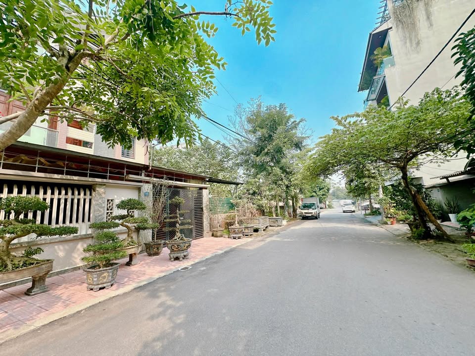 Đất nền Nguyễn Du, Việt Trì 116m² giá 6 tỷ - Vị trí kinh doanh đắc địa!