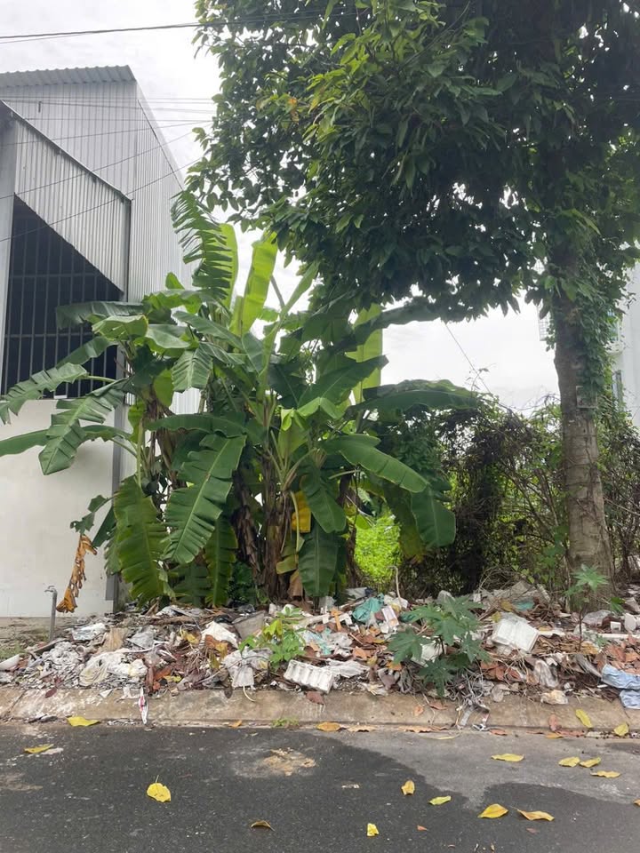 Đất nền dự án DS17 Long Xuyên 110m² giá 2 tỷ - Cách công viên Thục Phán 30m!