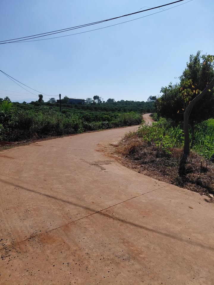 Đất nền 360m² tại Xã Tân Hà, Huyện Lâm Hà - Giá chỉ 500 triệu, sổ đỏ chính chủ!