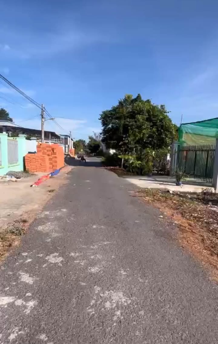 Đất Thổ Cư Phường 5, Vũng Tàu 212.5m² - Cơ hội đầu tư sinh lời!