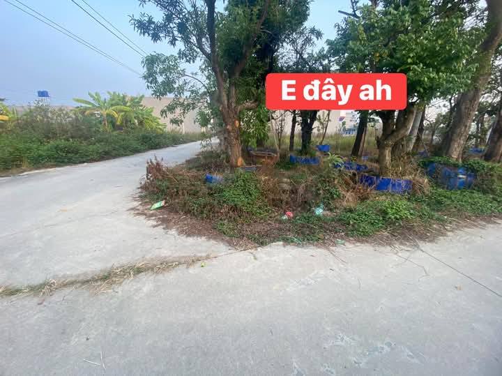 Đất nền lô góc 3 mặt tiền đường My Thữ 100m² giá 3 tỷ - Cơ hội đầu tư hấp dẫn!