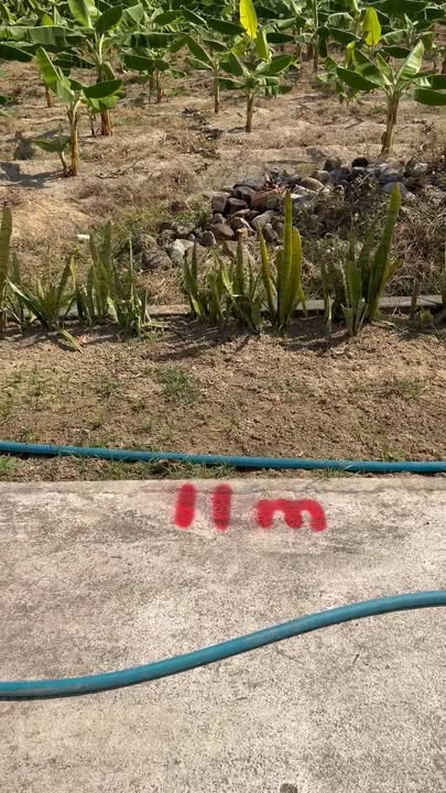 Đất vườn 500m² Phú Lạc, Bình Thành, Tây Sơn giá 650 triệu - Cơ hội đầu tư hấp dẫn!