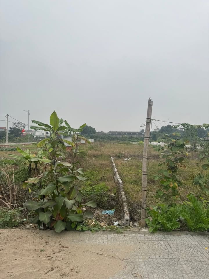 Đất nền khu giãn dân Thanh Sơn, Kim Bảng 60m² giá chỉ 1 tỷ - Đầu tư sinh lời ngay!