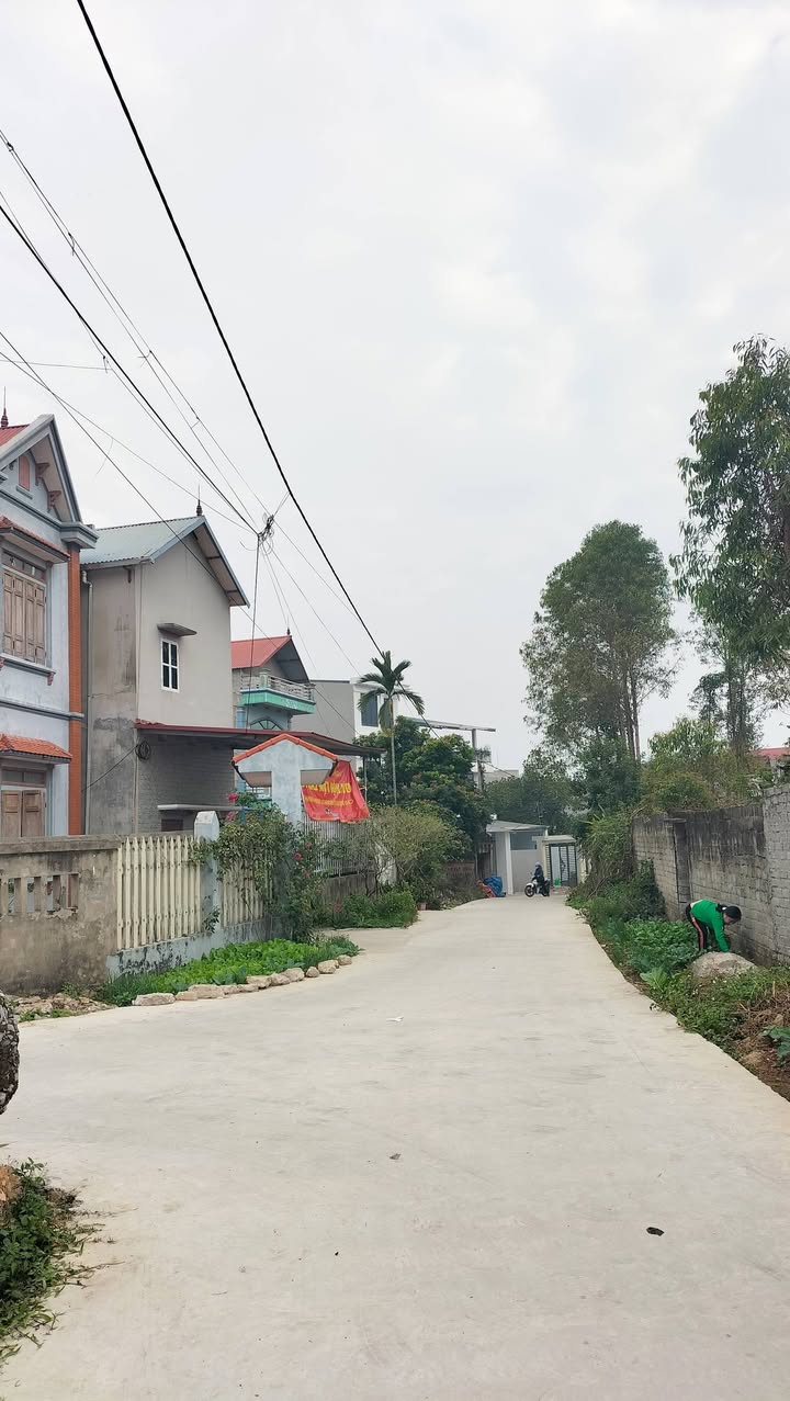 Đất nền phường Tân An, Bắc Ninh 256m² giá 2.8 tỷ - Đường ô tô rộng rãi!