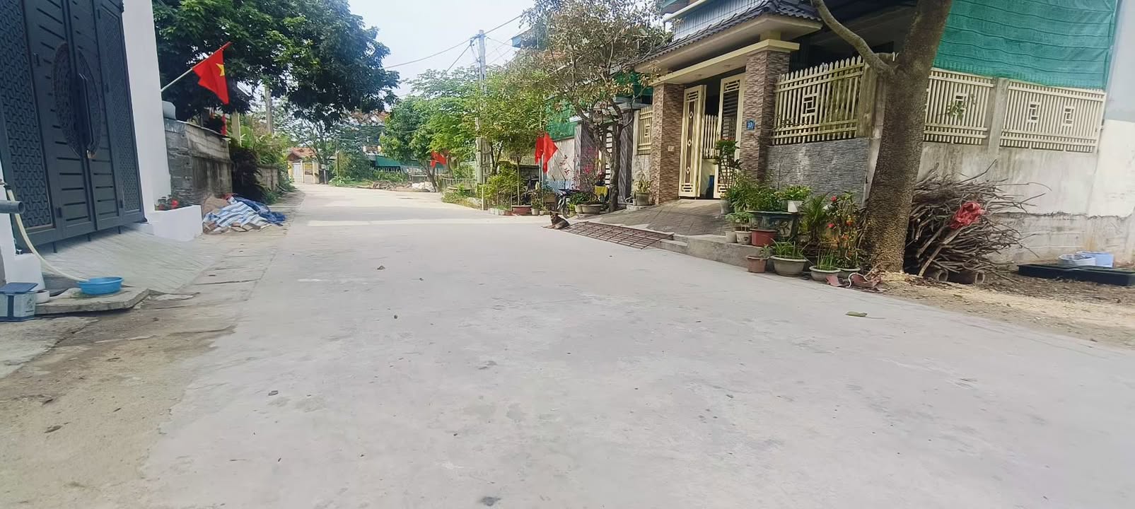 Đất đấu giá Đường 52, Huyện Nghĩa Đàn 140m² - Vị trí vàng, thổ cư 100%!