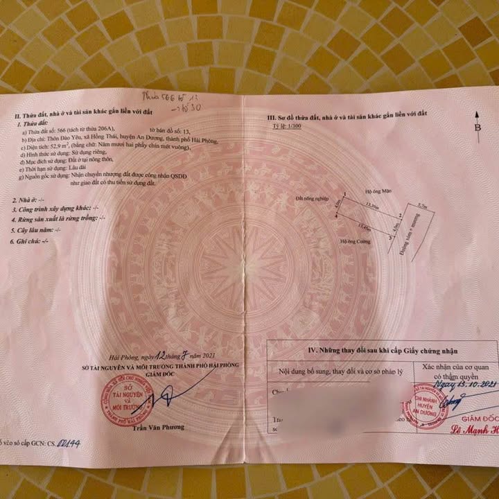 Đất nền sát mặt đường Trục Nhựa - Đào Yêu 52,9m² giá 1,75 tỷ - Cơ hội đầu tư hấp dẫn!