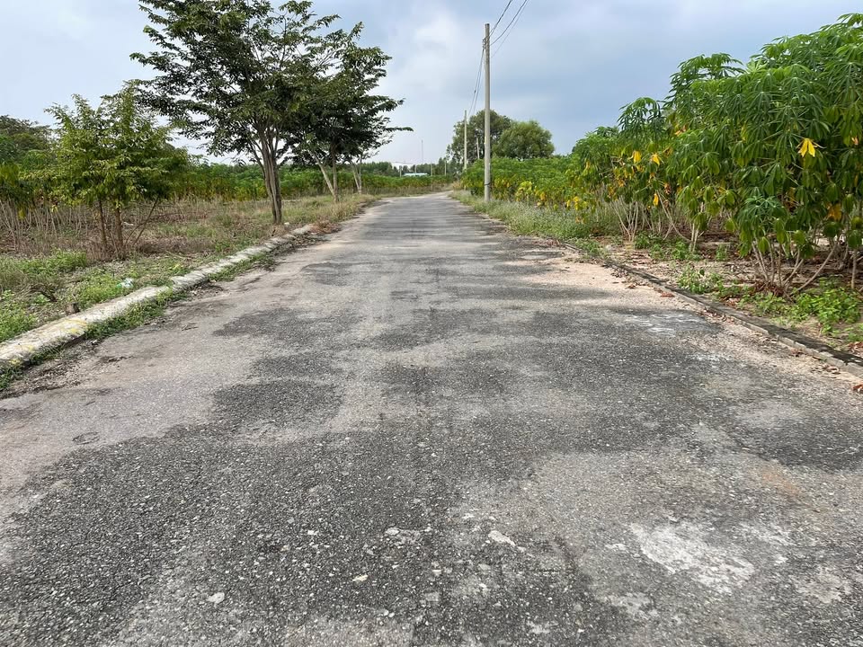 Đất đầu tư tại kp4, Phường Tân Thành, Quận Tân Phú, 293m² - Cơ hội sinh lời hấp dẫn!