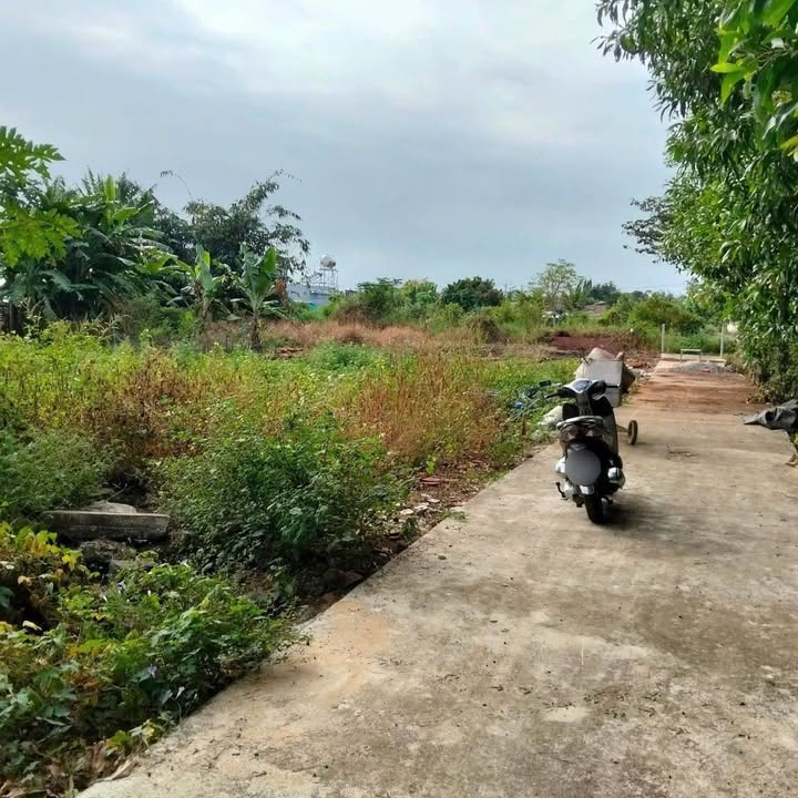 Đất nền Tạ Văn Sáu - Đất Đỏ 316m² giá 950 triệu - Đầu tư sinh lời ngay!