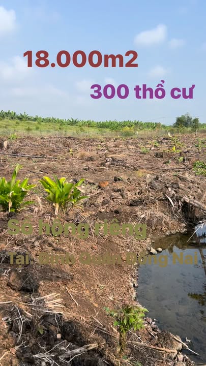 Đất vườn Phú Tân - Định Quán 1.8ha giá chỉ 2.7 tỷ - Tiềm năng đầu tư lớn!