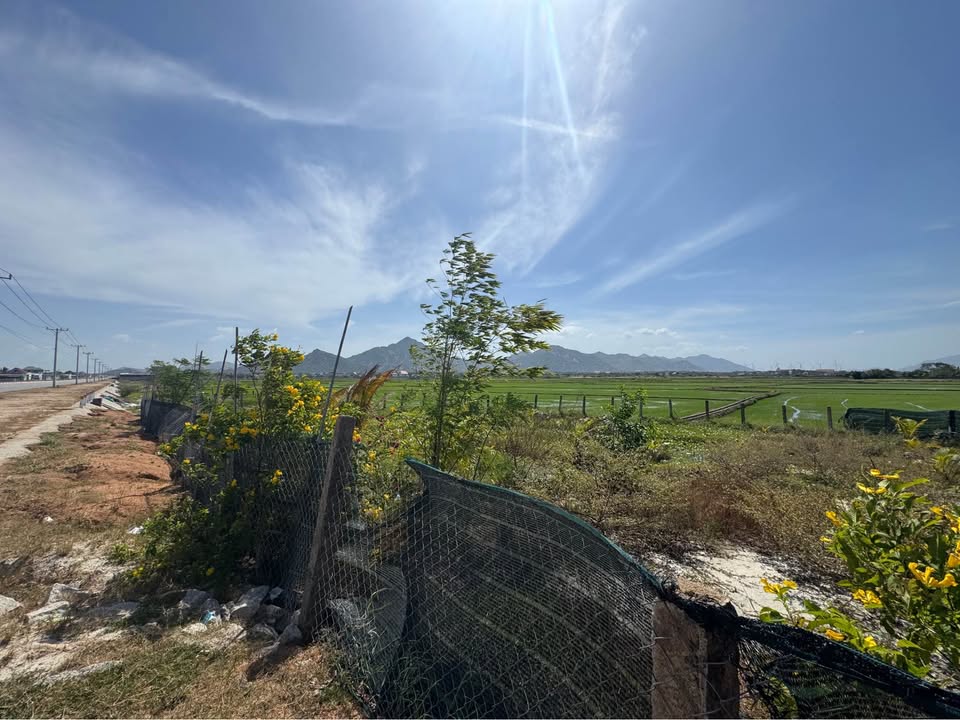 Đất nền Văn Lâm, Phước Dinh, 100000m² giá 1.2 tỷ - Cơ hội đầu tư sinh lời!