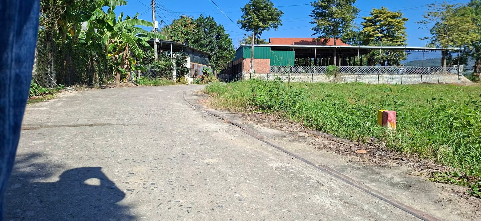 Đất liền kề Xã Diên Hòa 253m² giá 2.53 tỷ - Vị trí đắc địa gần đường Cao Bá Quát!