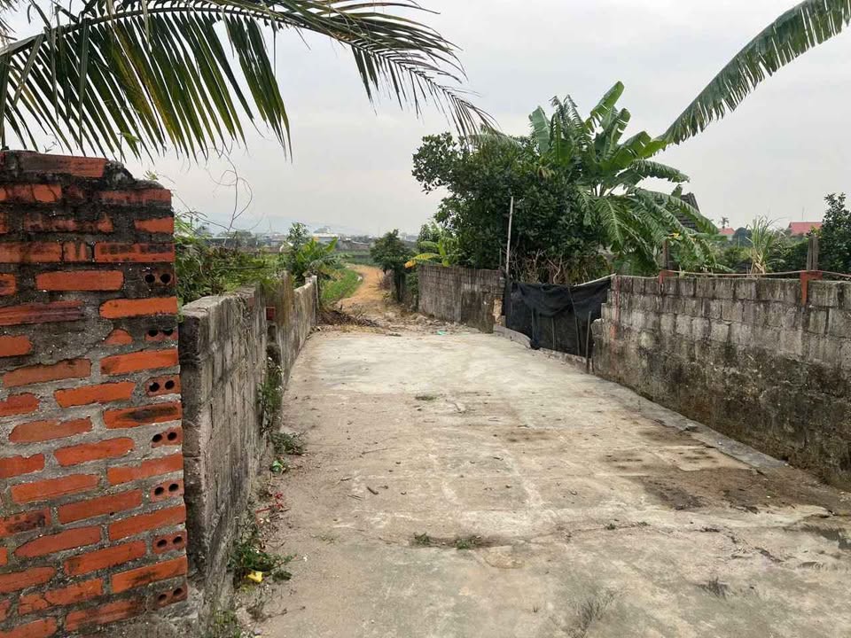 Bán đất thổ cư Dọc Mản, Bình Khê - 99,2m² giá chỉ 300 triệu - Đầu tư lý tưởng!