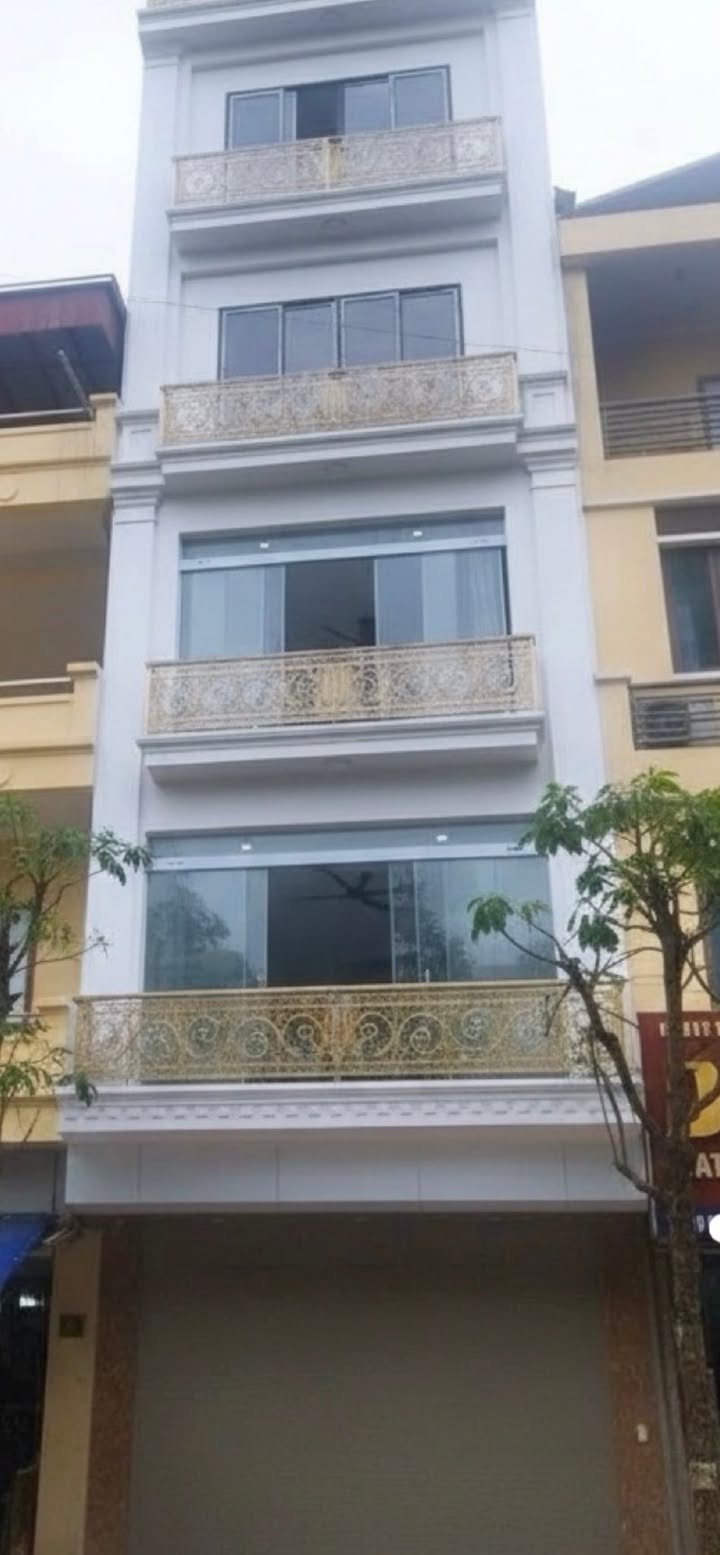 Đất mặt tiền Mậu Lương, 52m², giá 16 tỷ - Đầu tư sinh lời cao!