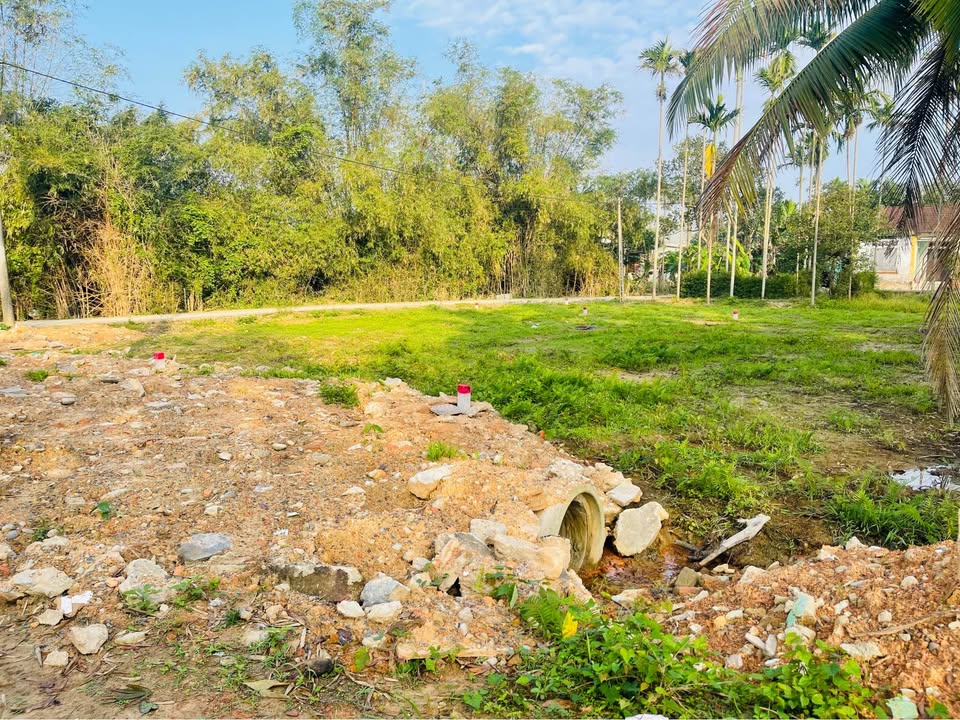 Đất nền kiệt Trần Hoàn, Cam Lộ, 110m² giá chỉ từ 300 triệu - Sổ sẵn, công chứng ngay!