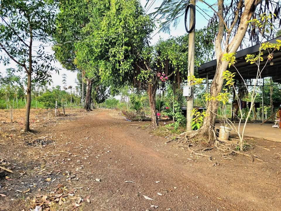 Đất nền Thanh An, Huyện Hớn Quản 1.000m² giá 155 triệu - Cơ hội đầu tư tuyệt vời!