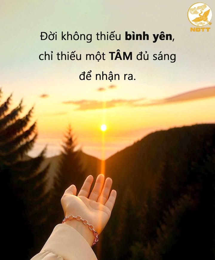 Nhà riêng hẻm xe hơi Phú Lâm, Quận 6 - 33m² giá 4.95 tỷ - Thương lượng ngay!