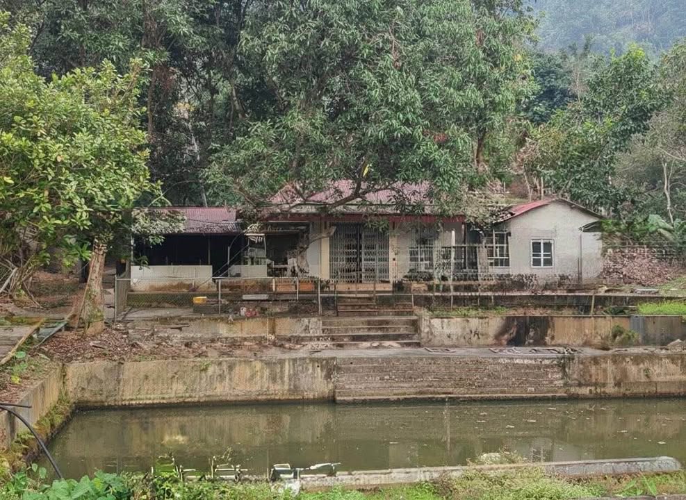 Trang trại 4ha tại Lào Cai - Giá chỉ 3.x tỷ - Tiềm năng kinh doanh lớn!