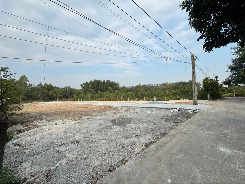 Đất nền mặt tiền đường 768, Tân Phong, Biên Hòa 87-97m² giá 1.29 tỷ - Sổ hồng riêng từng lô!