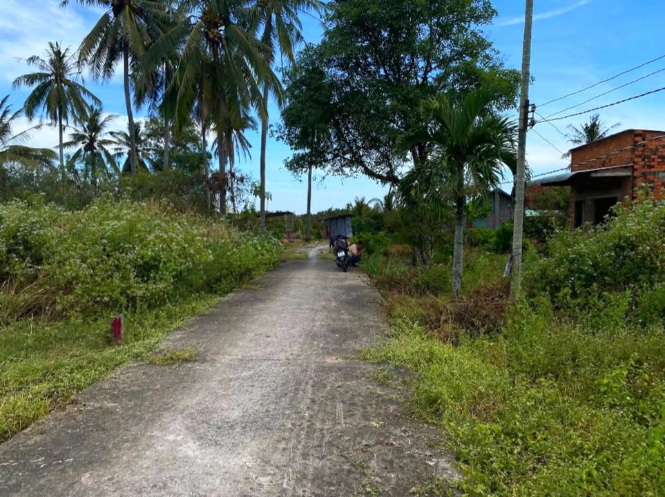 Đất thổ cư 155m² Ấp Cây Da, Hiệp Thạnh, Gò Dầu - Giá chỉ 480 triệu!