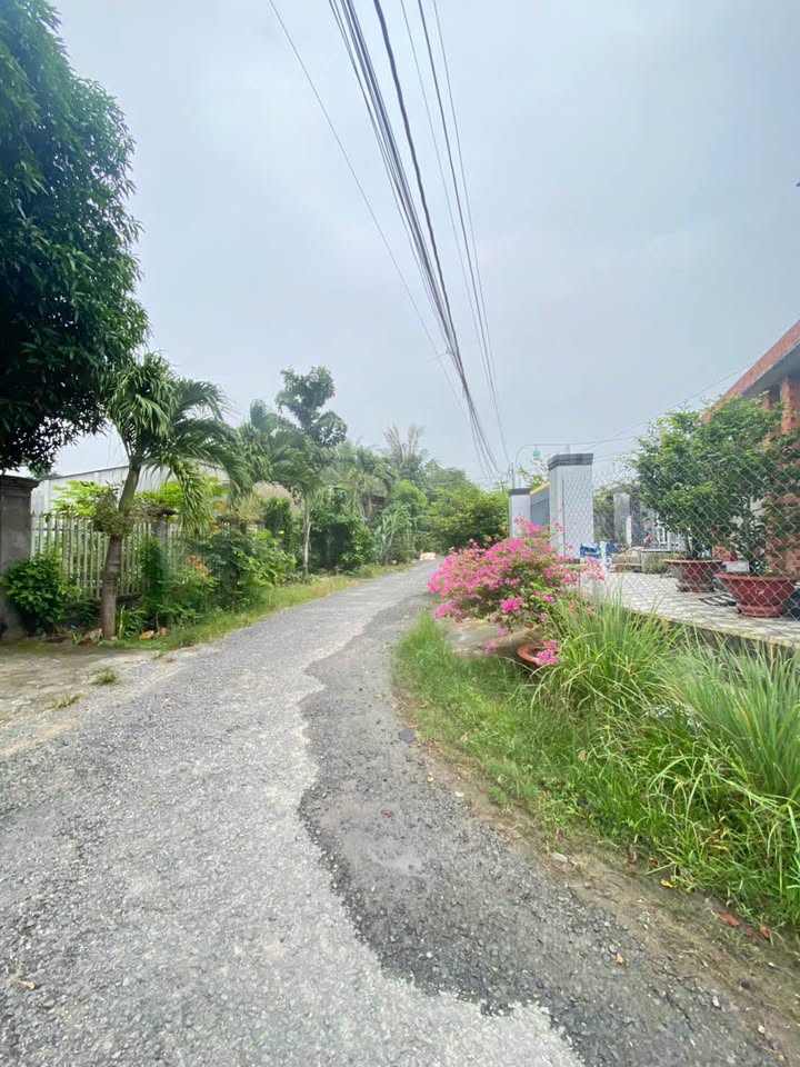 Đất nền Xóm Mía Phước Trạch Gò Dầu 1156m² giá 2.55 tỷ - Chính chủ bán gấp!