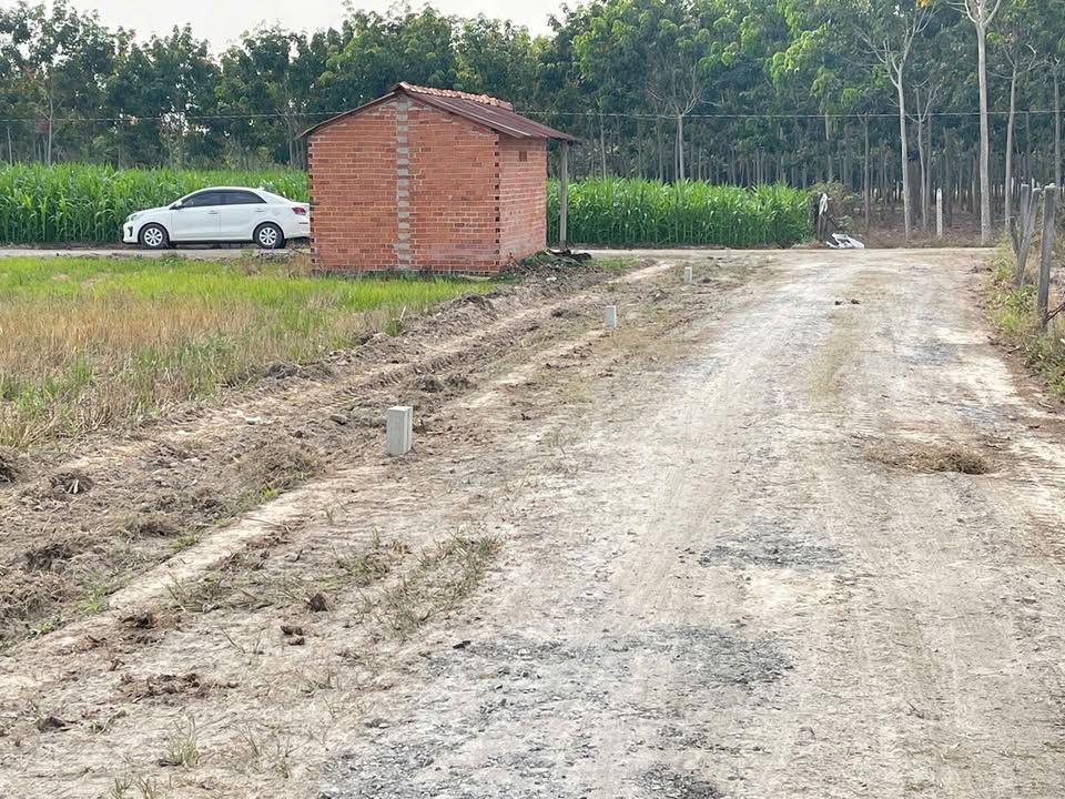 Đất nền Chòm Dừa, Châu Thành, Tây Ninh 50m² - Giá thỏa thuận hấp dẫn!