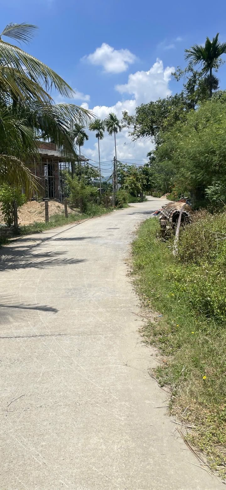 Đất nền 200m² Điện Tiến giá 980 triệu - Cơ hội đầu tư tuyệt vời!