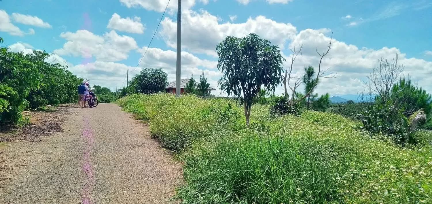 Đất nền Lộc An 1200m² giá 620 triệu - Cơ hội đầu tư vàng!