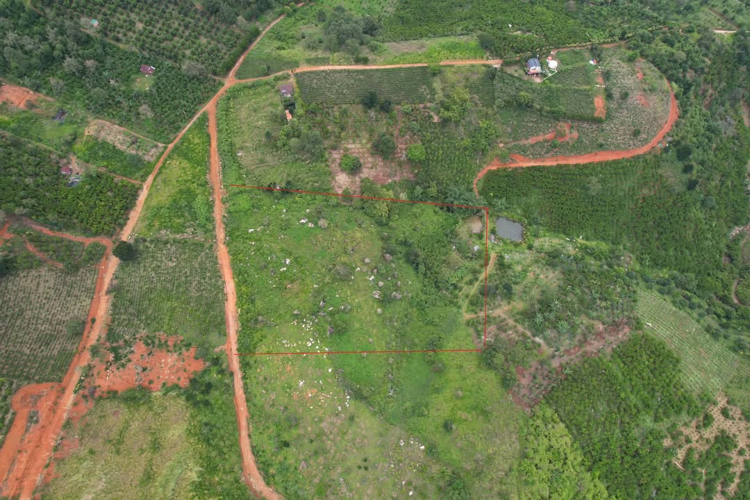 Đất nền Lộc Thành Bảo Lâm 11.000m² giá 360 triệu/sào - Sổ đỏ chính chủ!