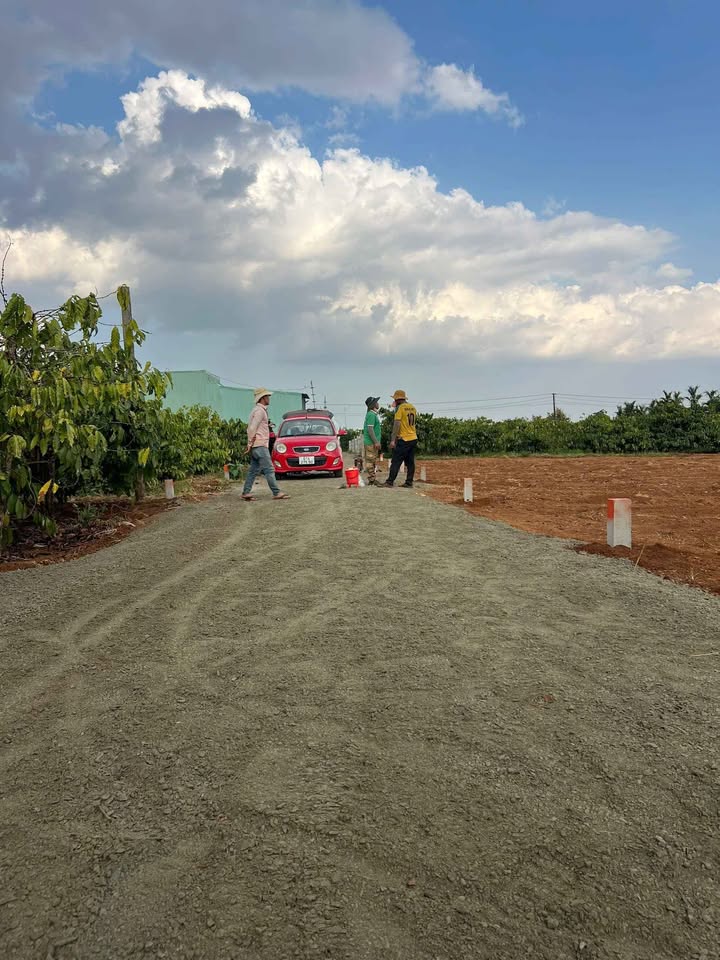 Đất Hẻm Nguyễn Kiệm, Phường Thống Nhất, 140m² chỉ 440 triệu - Cơ hội vàng cho đầu tư!