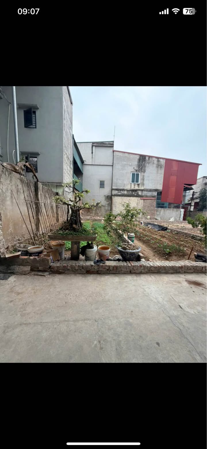 Đất nền Khu phố Doi Sóc, Từ Sơn 40m² giá 1 tỷ - Đường ô tô vào tận đất!