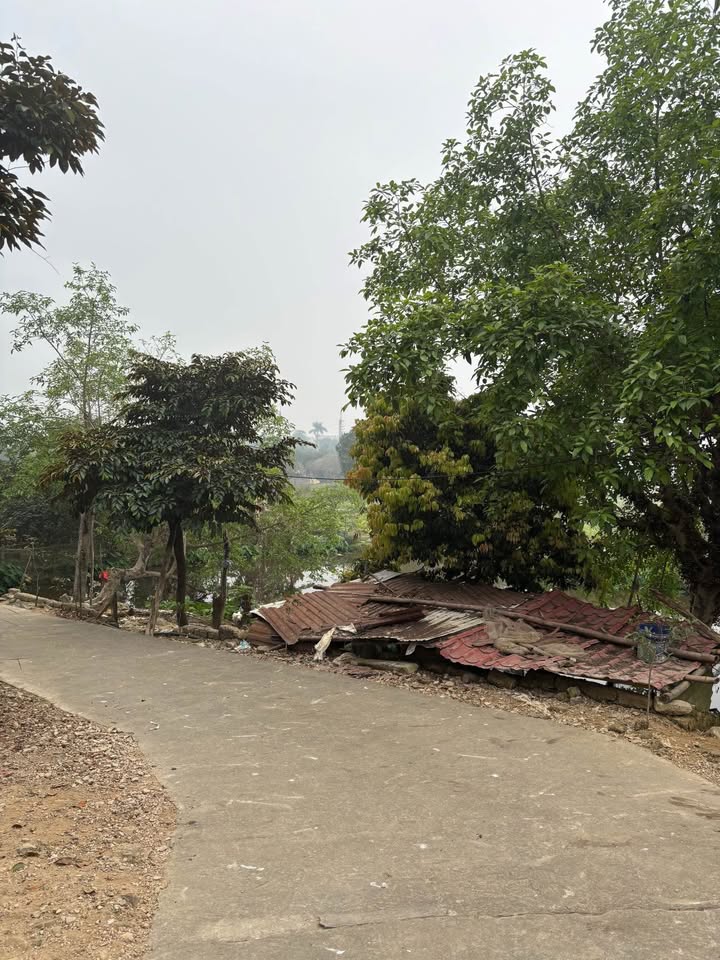 Đất lô góc Ba Vì 1669m² giá 6.68 tỷ - Không gian nghỉ dưỡng lý tưởng!