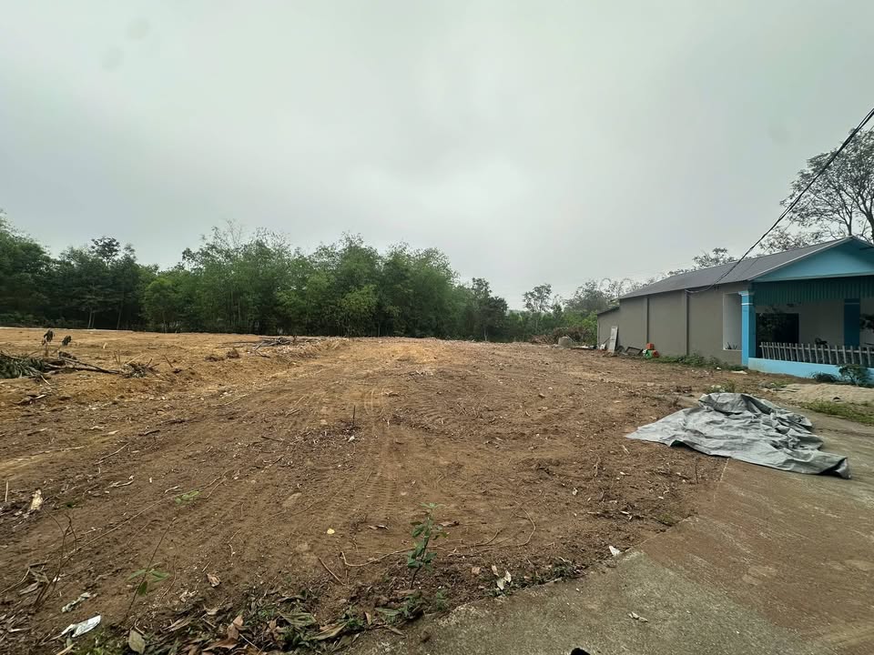 Đất nền xã Phú Hộ, 1000m² giá 10 tỷ - Cơ hội đầu tư sinh lời hiếm có!