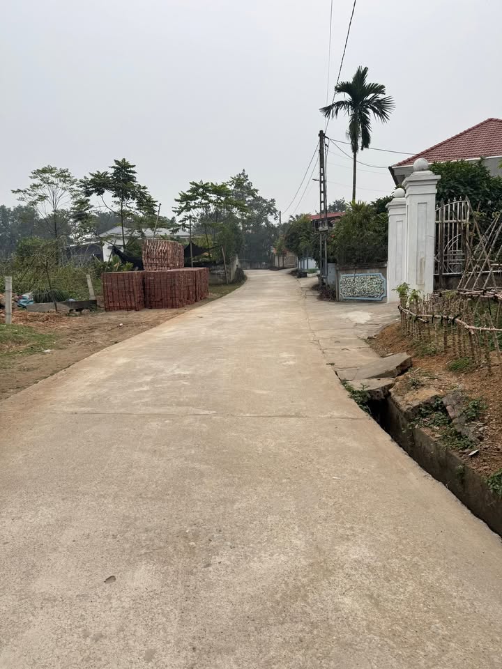 Đất nền Lãng Công, Huyện Sông Lô 193m² - Pháp lý rõ ràng, giá hợp lý!