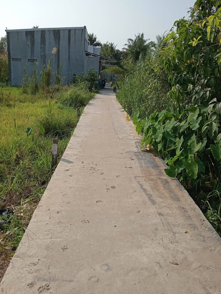 Đất nền 2 mặt tiền 161m² Đinh Công Chánh, Bình Thủy - Giá chỉ 699 triệu!