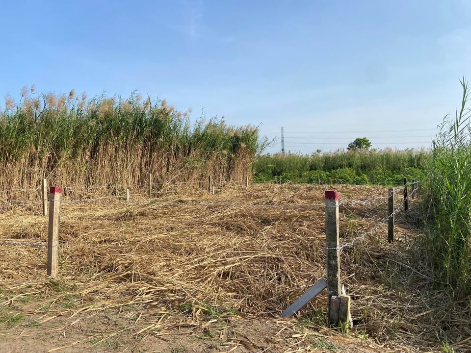 Đất nền Cái Răng 300m² giá 4 tỷ - Mặt tiền thuận lợi cho đầu tư!