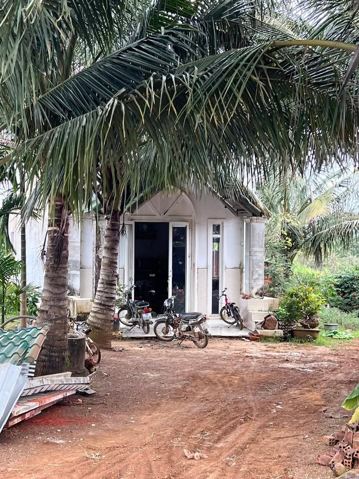 Đất nền Hòa Tiến 2500m² giá 5.499 tỷ - Đầu tư sinh lời cho kho xưởng!