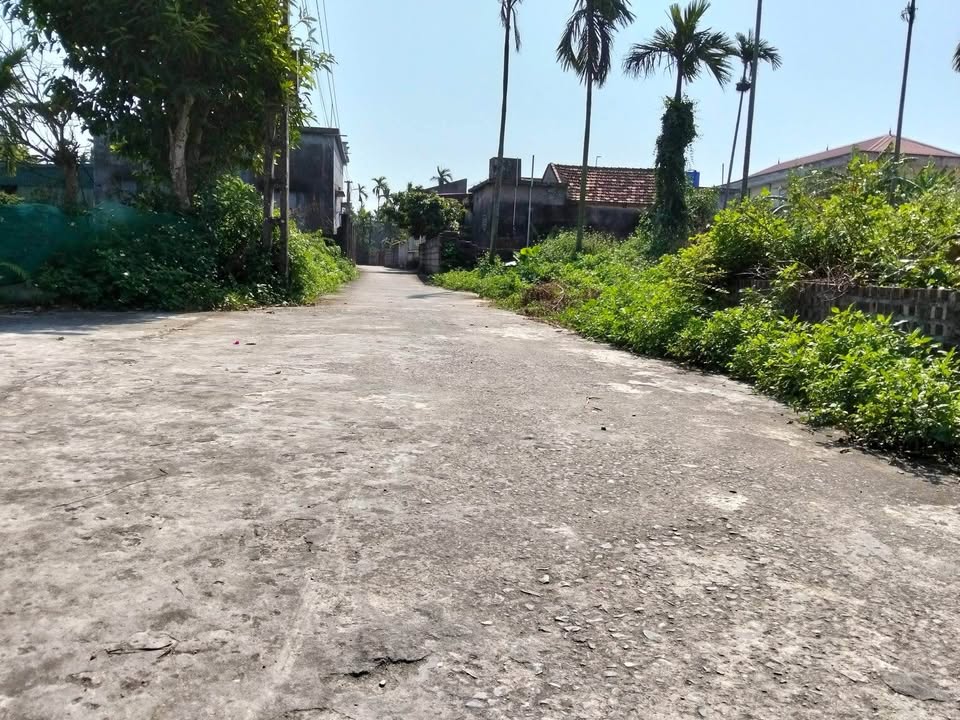 Lô đất Thái Thịnh Thái Thụy 100m² - Pháp lý rõ ràng, đầu tư sinh lời!