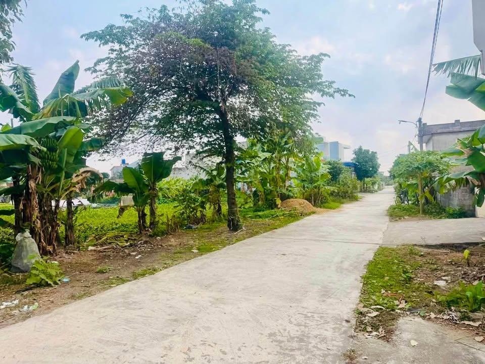 Đất lô góc Tây Lương - Tiền Hải 175m² giá chỉ 7xx triệu - Cơ hội đầu tư hấp dẫn!