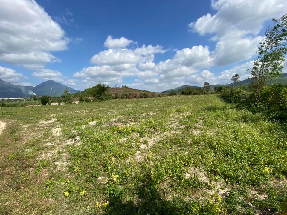 Lô đất vườn 5361m² tại KP Canh Tân, Vân Canh - Đầu tư sinh lời ngay!